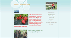 Desktop Screenshot of belstackstrawberryfarm.com